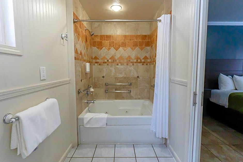 Econo Lodge Inn & Suites Heavenly Village Area