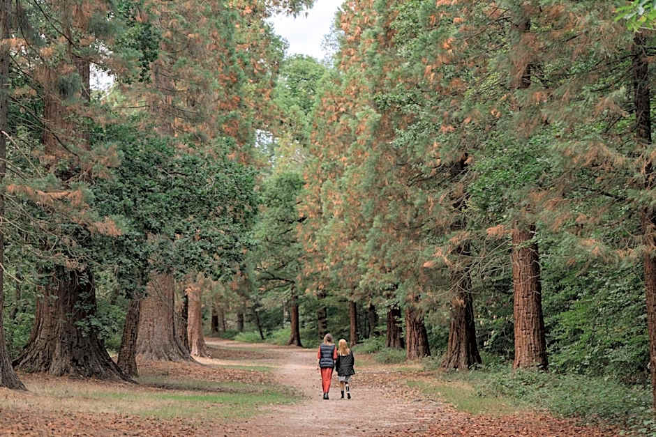 The Langley, a Luxury Collection Hotel, Buckinghamshire