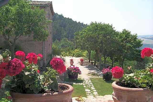 L'Oasi