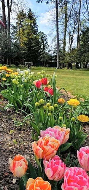 Chambres d'Hôtes des Rouets