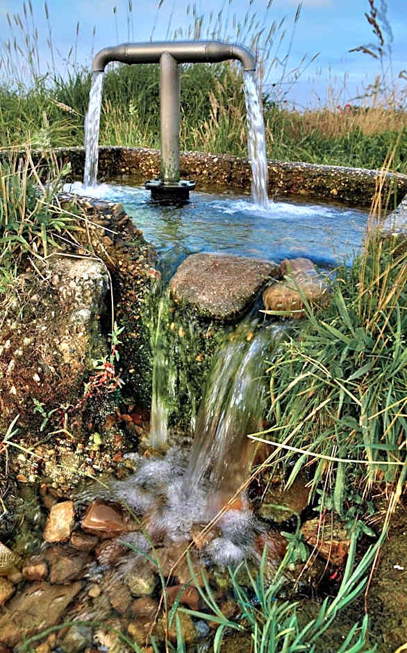 Señorío de Los Bazán