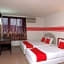 OYO 1173 Mandyrin Hotel