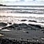 Ocean view Mauna Loa Shores Kai Ekahi #201 next to Carlsmith Beach Park Hilo HI