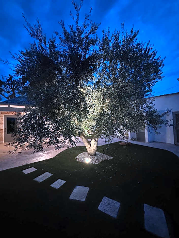 La linea dell'orizzonte