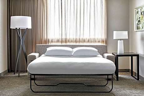 Larger Guest room, 1 King, Sofa bed, Corner room