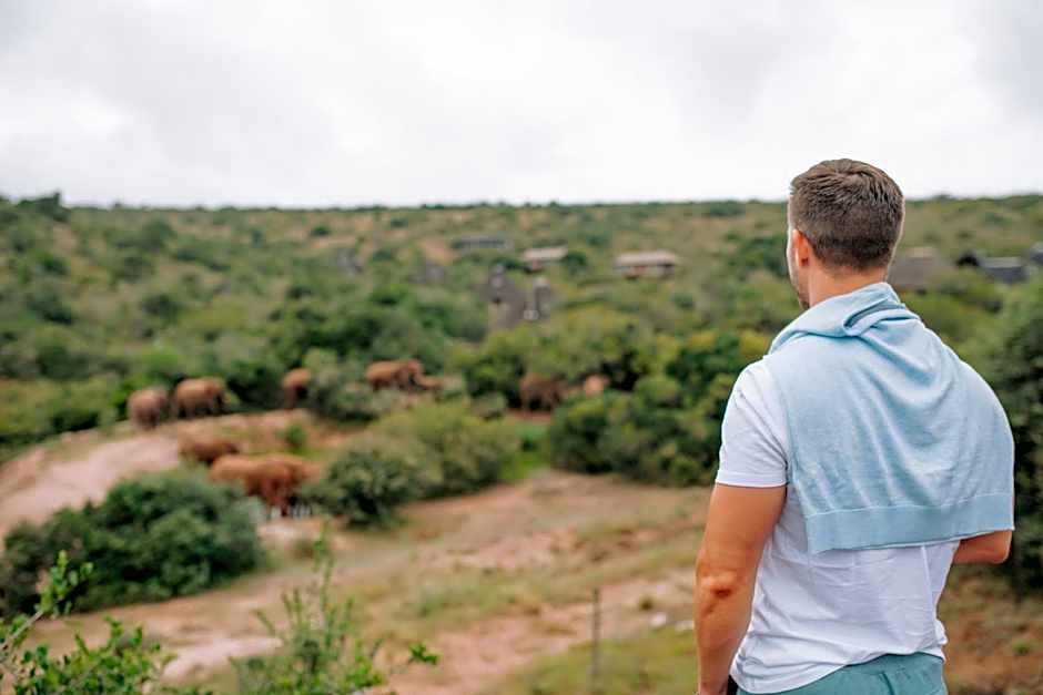 Bukela Game Lodge - Amakhala Game Reserve