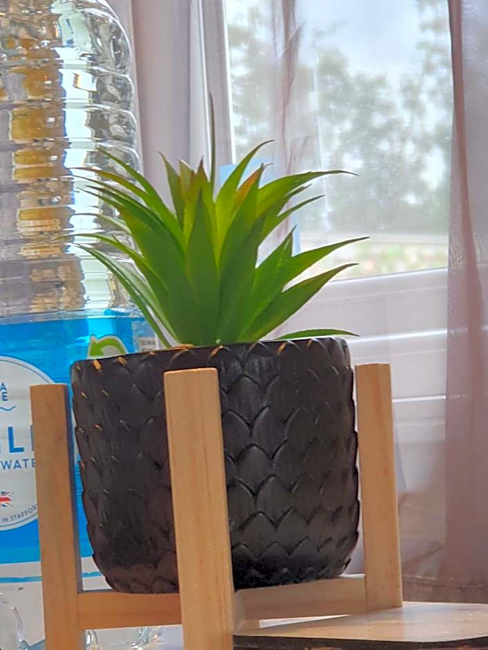 Billing Aquadrome- Bird Lake Pastures Holiday Caravan Sleep 6