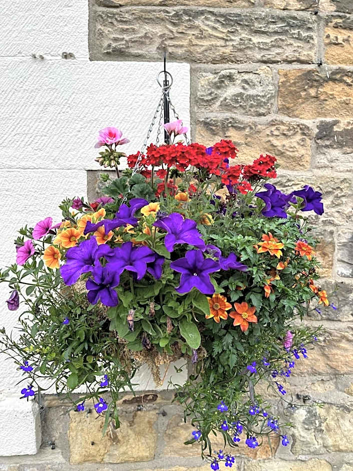 Shaftoe's Bed and Breakfast