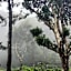 Ibex Resorts, Valparai Mistly