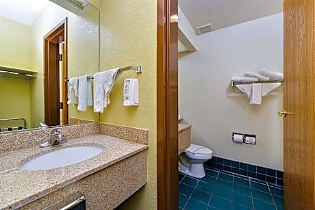 1 King Bed Non-Smoking