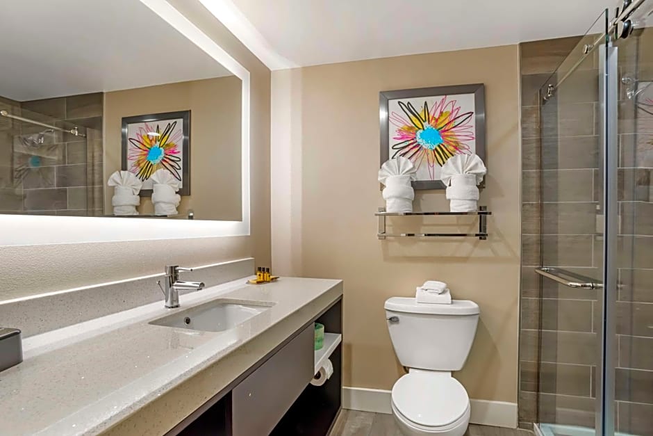 Best Western Plus Greenville I-385 Inn & Suites