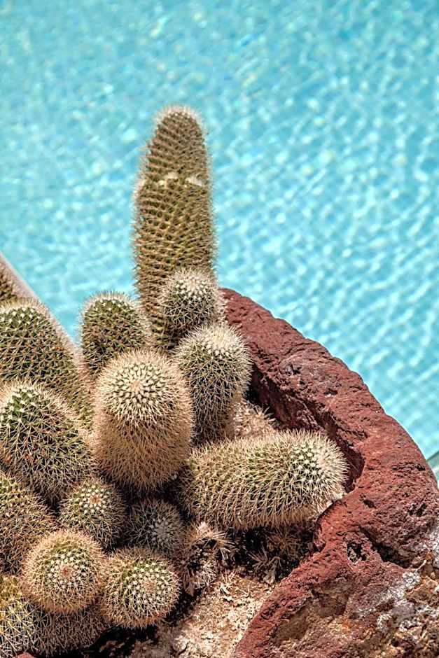 Evgenia Villas & Suites by Calm Collection