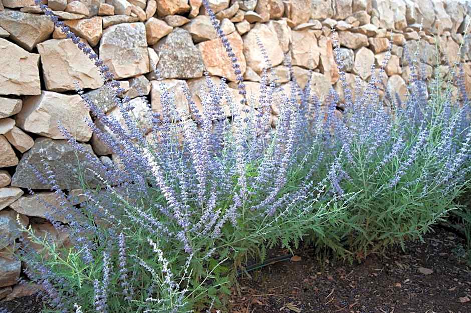 La Dimora di Spartivento; BW Signature Collection