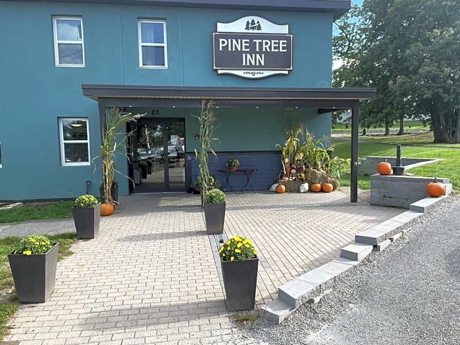 Pine Tree Inn