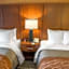 Comfort Inn At The Park