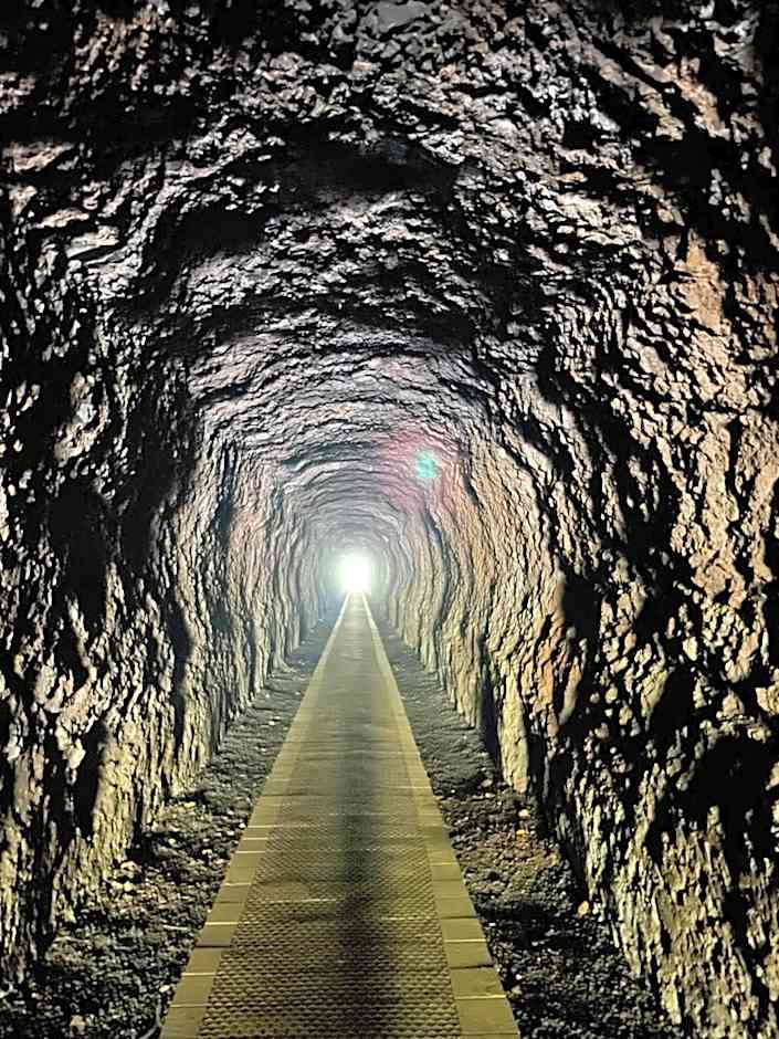 Castaway Holiday Apartments