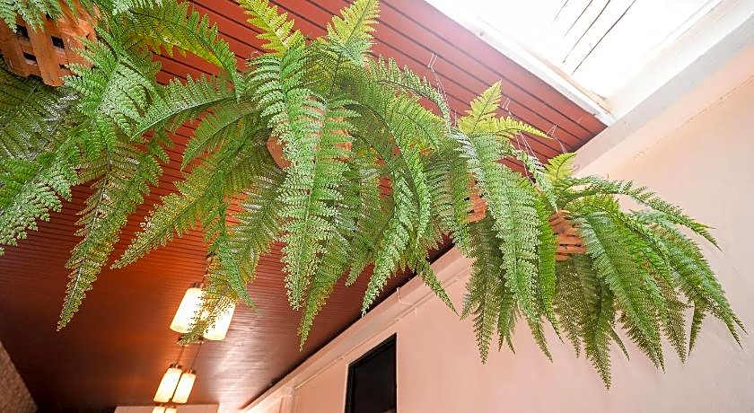 U-need Guesthouse 95