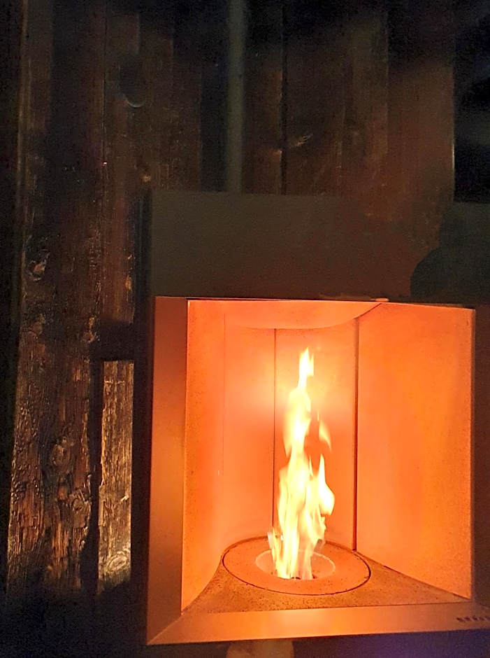 Chalet Hôtel du Bois