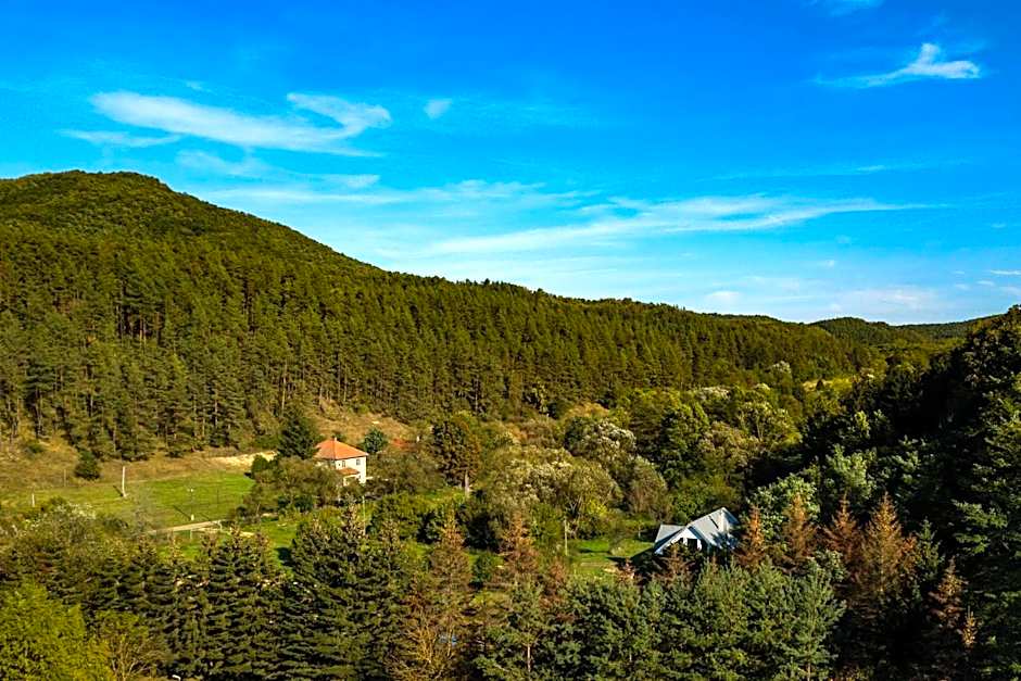 Zöldsziget Menedék, Rendezvény-és pihenőház