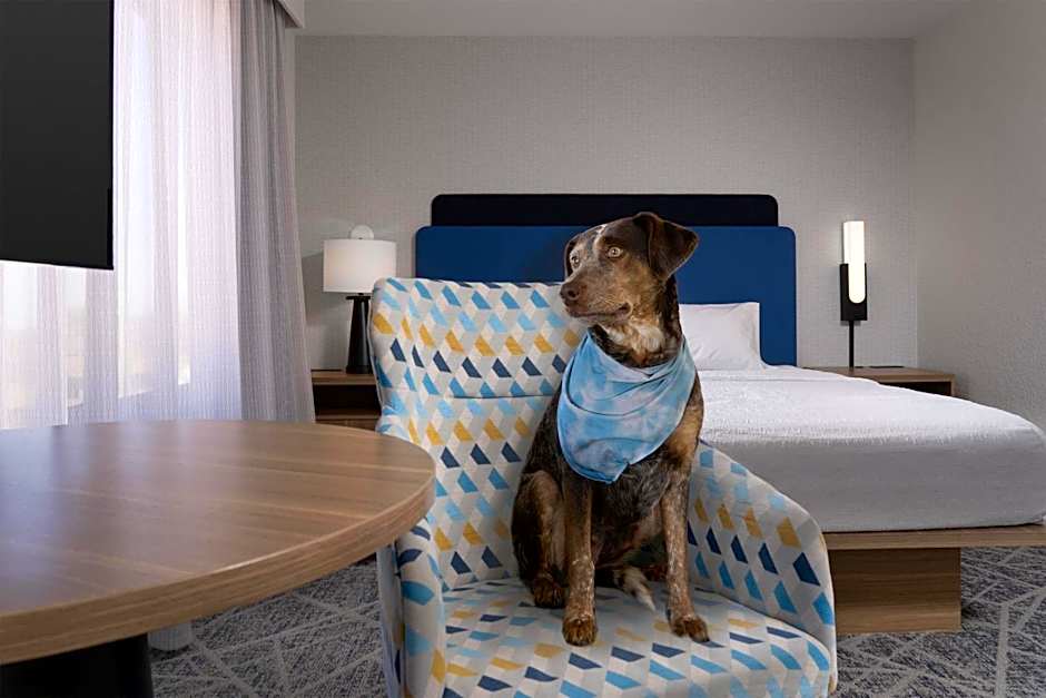 Hampton Inn By Hilton & Suites Roswell
