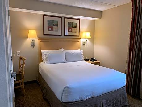 One-Bedroom Suite with Sofa Bed