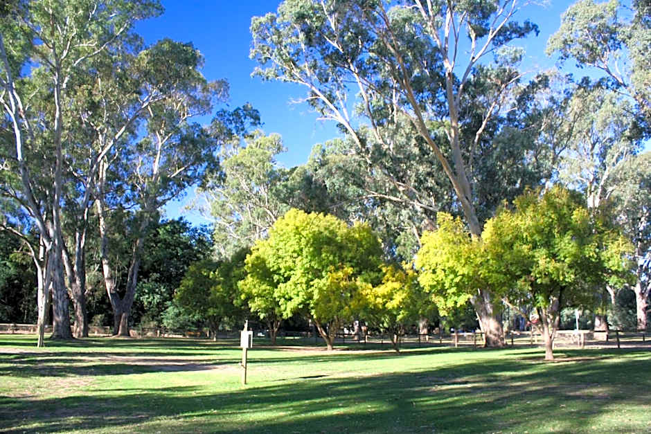 BIG4 Tiny Away Stay - Seymour Riverside