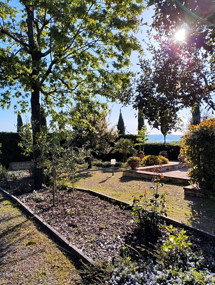 Rocca degli Olivi