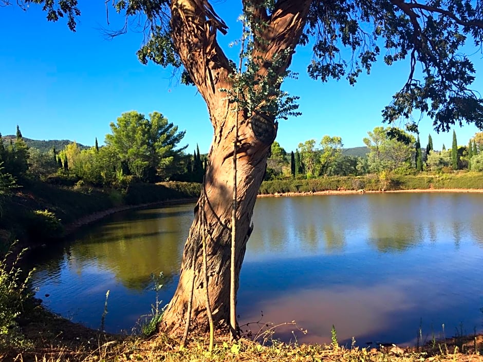 Domaine de Mont Redon