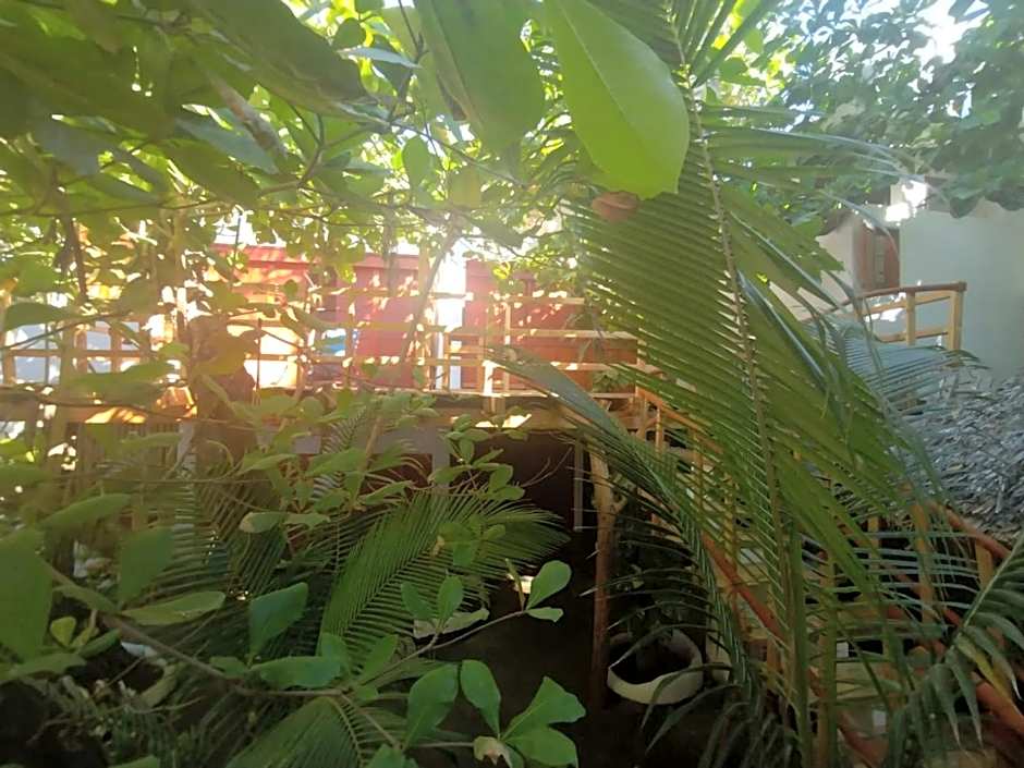 Bambú Ecocabañas