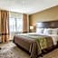 Comfort Inn Downtown