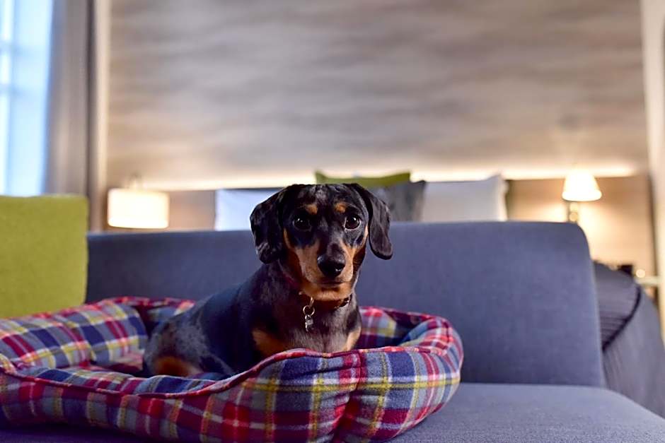 Staybridge Suites Dundee By IHG