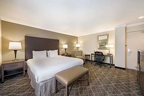 King Suite with Sofa Bed