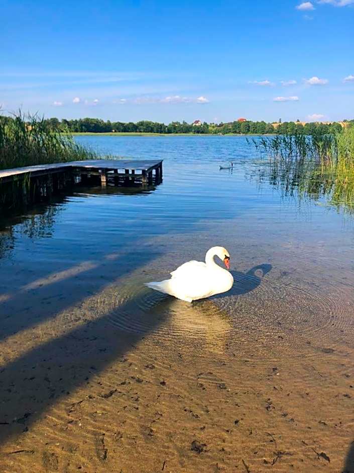 Domek Letniskowy Krejwince
