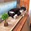日本一しょぼいゲストハウス ウタラといかん Poor and Shabby GuestHouse "UtaraToikan"