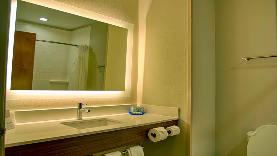 Holiday Inn Express Hotel & Suites Byram