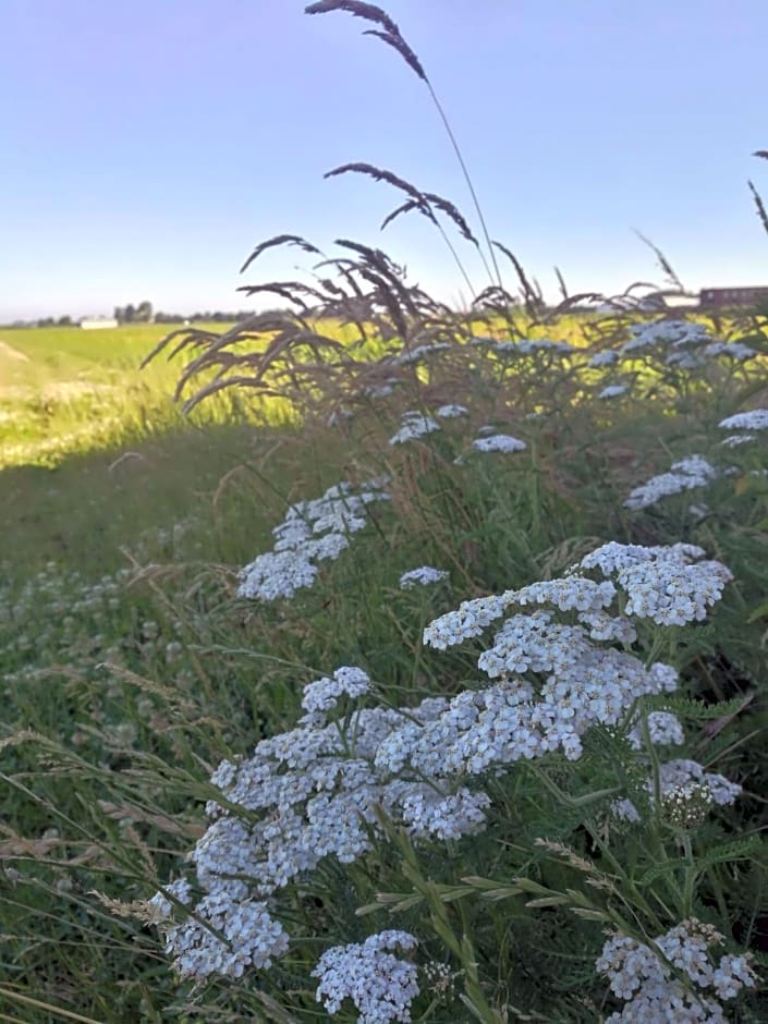 De Groene Bollenschuur