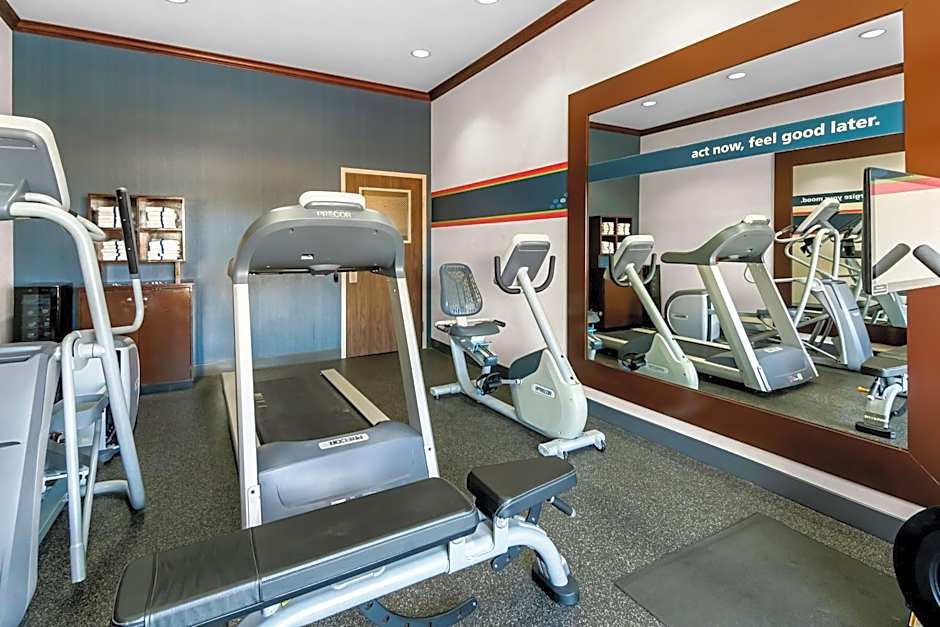 Hampton Inn By Hilton & Suites Abilene I-20 Tx