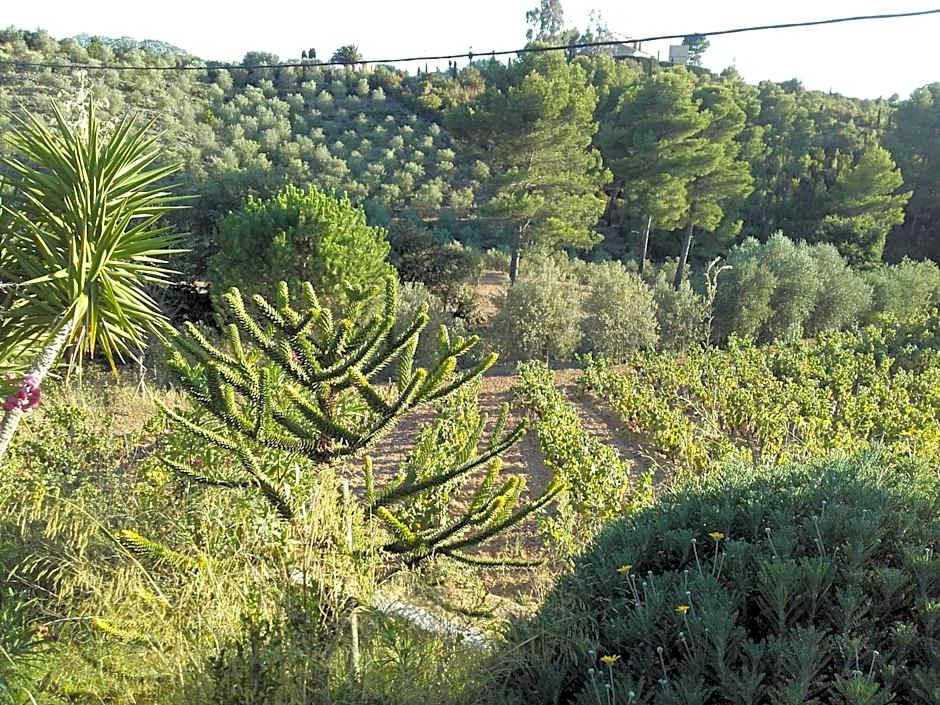 La Bastide de l'Oliveraie