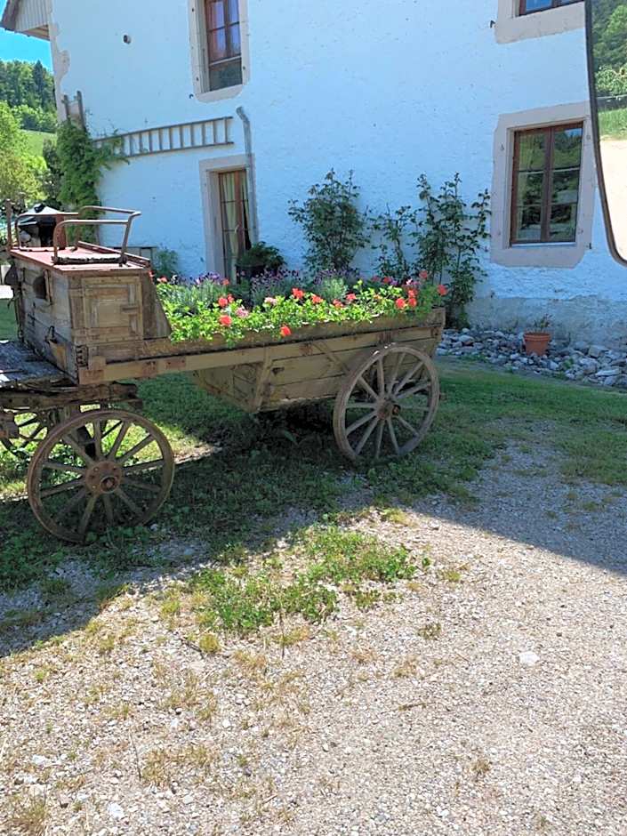 Chez Dodo 2534 Orvin Le Foncet