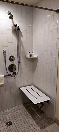 King Room with Roll-In Shower - Disability Access