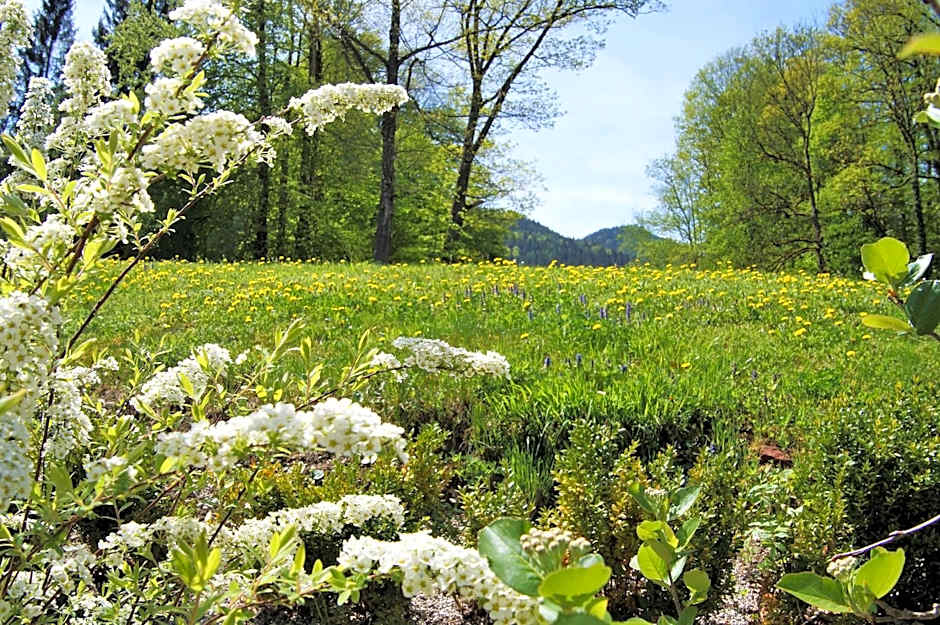 Naturhotel Schloss Kassegg