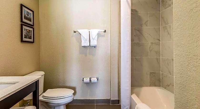 Comfort Inn Downtown