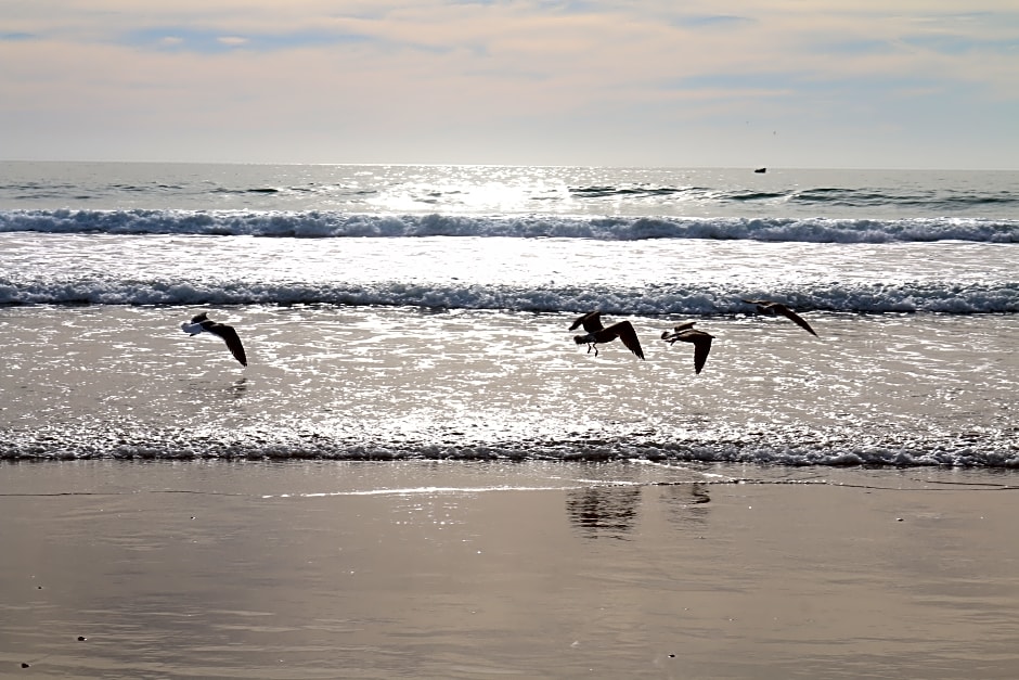 Lunja Village Taghazout