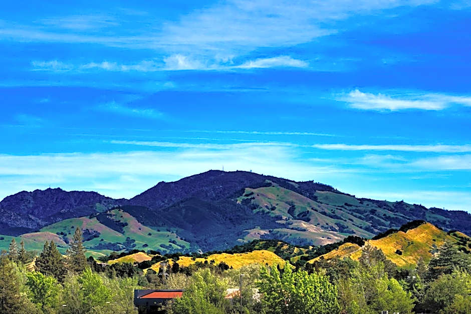 Walnut Creek Marriott