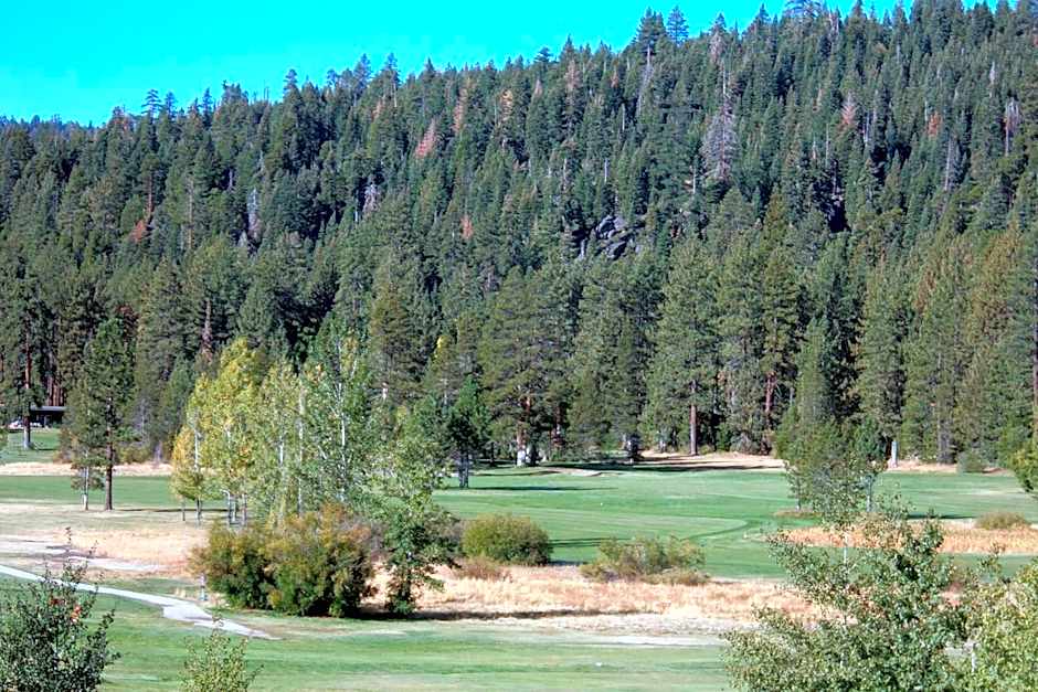 Pepper Tree Inn Tahoe City