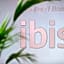 ibis Aulnay Paris Nord Expo