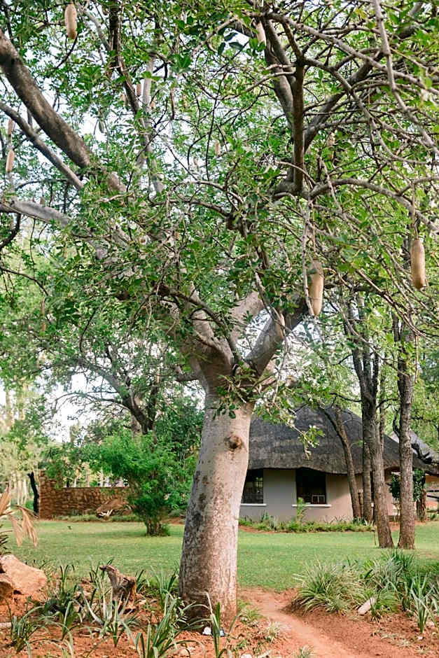Limpokwena Nature Reserve