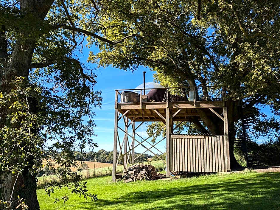 les bulles perchées de lartigue