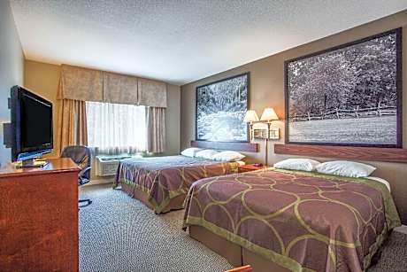 2 Queen Beds Pet Friendly Non-Smoking