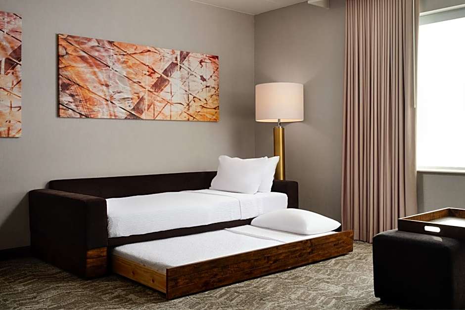 SpringHill Suites by Marriott Minneapolis-St. Paul Airport/Mall of America
